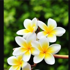 Meet your Posher, Bella